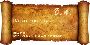 Bálint Aniziusz névjegykártya